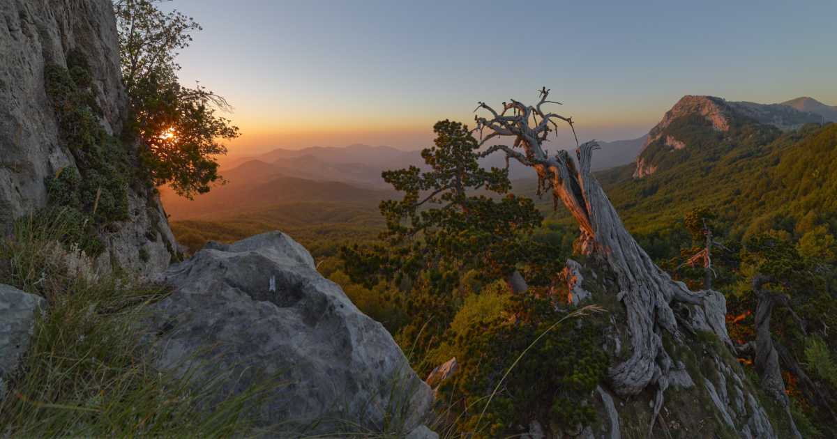 Diffondono bellezza e rispetto per l'ambiente: sono i "fotografi naturalisti"